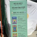 야단법석 | 서울 | 봉은사역 | 2025 봉은사 불교문화 체험 한마당 ‘야단법석’ 후기
