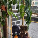 소로3-101 이미지