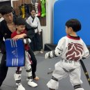 파란태권도 이미지