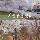 독서하다 청소년 | 아산 지산공원 벚꽃 피크닉 위치 (아산시 청소년 문화의집)