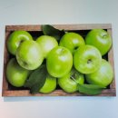 몰리힐스(MOLLI HILLS) 이미지