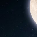 돌곶이효자정형외과의원 이미지