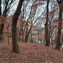 불로문구 | 유네스코 세계문화유산 창덕궁 후원 (부용지, 애련지, 관람지, 불로문) 방문 후기.