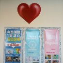 메이즈뮤지움 | 속초 여행 아이와 함께라면 필수! 얼라이브 하트 &amp; 다이나믹 메이즈