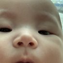 우리두리약국 | 신생아 코딱지 제거 방법ㅣ'오트리빈 베이비' 사용후기