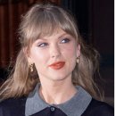 pet 25나3378 이미지