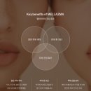 솔벨르