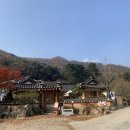 깊이울달빛캠핑장 이미지