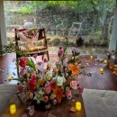 제주감성독채숙소 다빈(제주풀꽃) | 제주서쪽숙소 클랭블루수동 제주감성숙소프로포즈이벤트