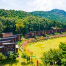 소백산자연휴양림 이미지