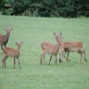 덕의농장 이미지