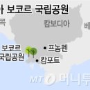 우림자원