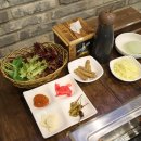 토지장어