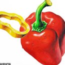 유에프오미술학원 이미지