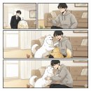 털뭉치들 이미지