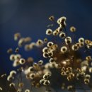 한화아파트 이미지