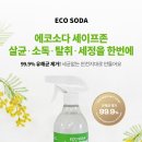 에코세이프존