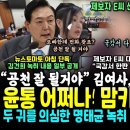 뉴스토마토 김건희 명태균 녹취 이미지