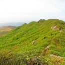 삼봉상회 이미지