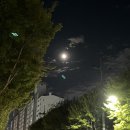 마라탕/요아정/카키노키/물흐르듯/애니세카이/원피규어/원석악세서리에스닉/헤이키/체인소맨천사/피크민