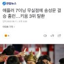 애플러 7이닝 무실점에 송성문 결승 홈런…키움 3위 탈환 이미지