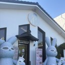 디저트39군산 | 군산 영화동 디저트39 내돈내산 수박주스 후기, 군산 디저트카페 추천