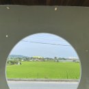 이천중 사거리 | 경기도 이천 카페 추천 분위기 좋은 카페진리 후기