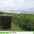 신안1호농장 이미지