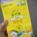 레몬라이프 | 홀라이프 유기농 레몬즙, 장원영도 챙겨먹는 레몬즙 추천 후기, 내돈내산