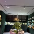 어반네이처 이미지