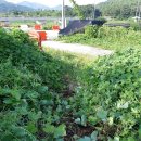 감천제방 이미지