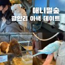 광안숲 | 광안리 실내동물원, 이색데이트하기 좋은 애니멀숲 내돈내산 후기