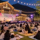 음악역1939 피크닉 콘서트 | 가평 봄밤 감성 폭발! 음악역1939 피크닉 콘서트 총정리