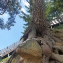 동로치안센터 이미지