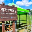 호국산업환경 | 경북 칠곡 가볼만한 곳, 10선 ~ 추천 여행지, 인기 관광지, 맛집, 특산물 소개 🏞️🌄🏯