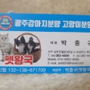 광주강아지분양 고양이분양 펫왕국 이미지