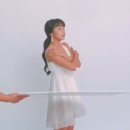 개'S 라인 이미지