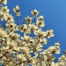 스킨프라자21 | [ 화성 봉담 에스테틱 ] 봉담 신부관리 맛집 두스킨 어썸웰스파 봉담점