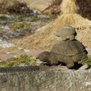 두물머리한의원 이미지