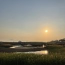 오이아호텔 | [부산] 어서와 다대포는 처음이지? 뚜벅이 부산여행 2 (다대포 해변공원, 고우니 생태길, 다대포...