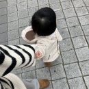 바르다김선생대정 이미지