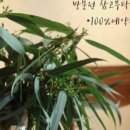 윤설당