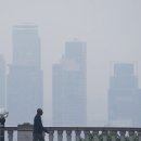 플래니터리헬스 이미지