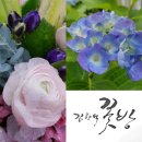 김향석꽃방