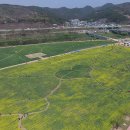 금호강하중도 이미지