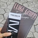 경희궁4길 | 2026.01.10 하나 그리고 둘, 루이지기리 사진전, 충무로 와 을지로