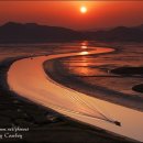 순천만풍경 이미지