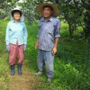 재봉농장 이미지