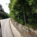 여주-0741 이미지