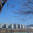 하남 브런치 카페 에이미테이블 l 솔직후기
